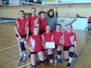 tinklinis 2015