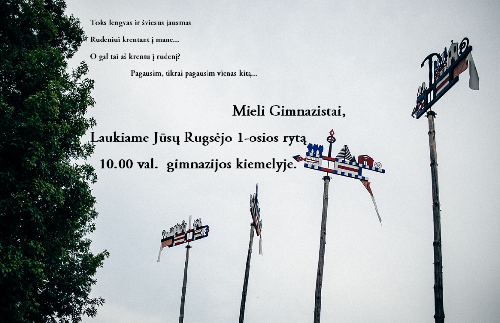 rugsejis ir